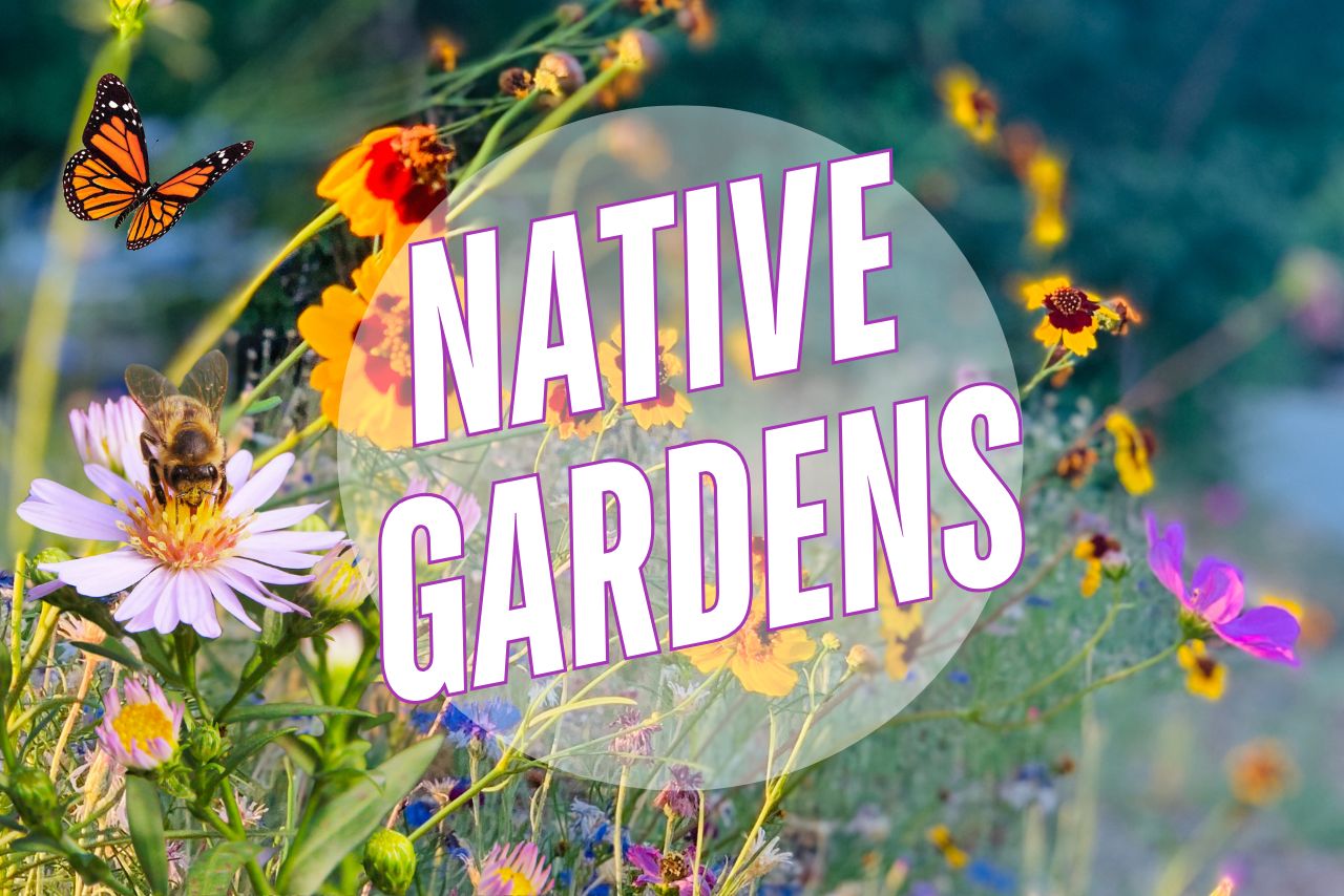 wildflowers in background with white text oulined in purple